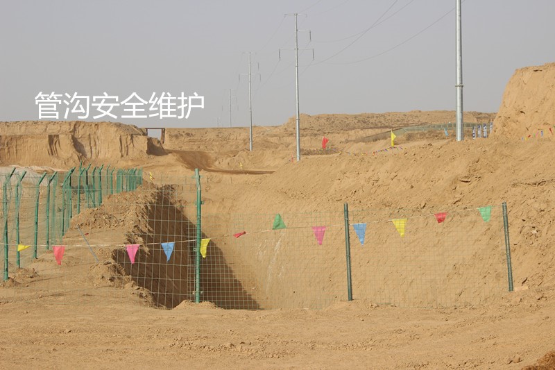 fugong2